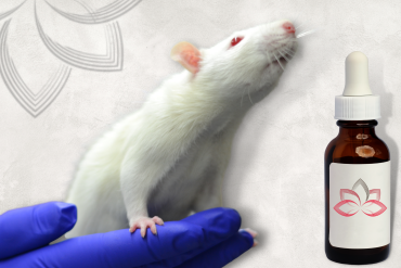 Imunomodulação Homeopática em Roedor com Lipoma: Um Relato de Caso