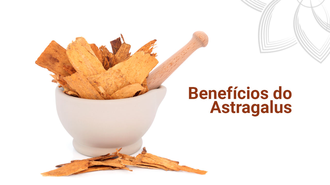 Benefícios Potenciais Da Suplementação Alimentar Com Astragalus