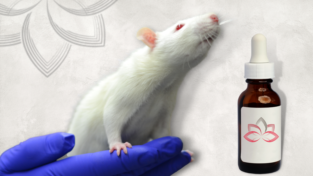 Imunomodulação Homeopática em Roedor com Lipoma: Um Relato de Caso